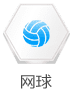 網球
